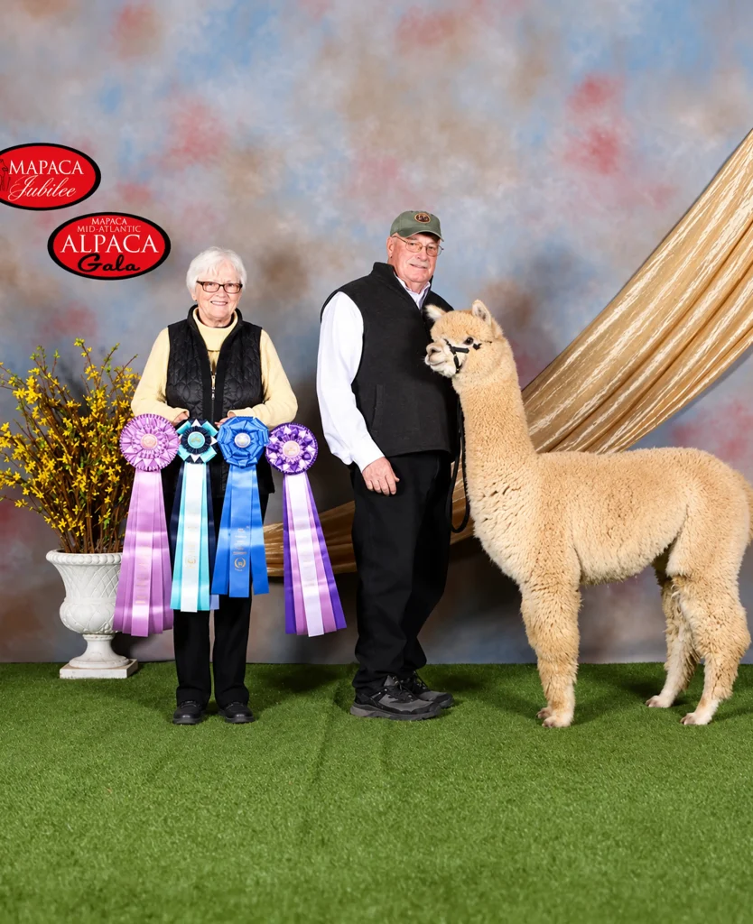 Outstanding Dreams Rocky Balboa, 4X Champion